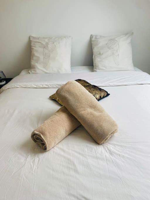 Kay Doudou 60M2 - 5 Min Aeroport - Navette - Parking Villa Bonlier Buitenkant foto